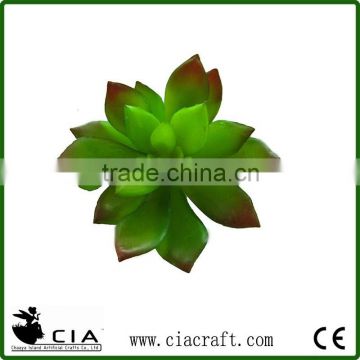 Wholesale Plastic Mini Artificial Succulent Plants for Garden Decoration