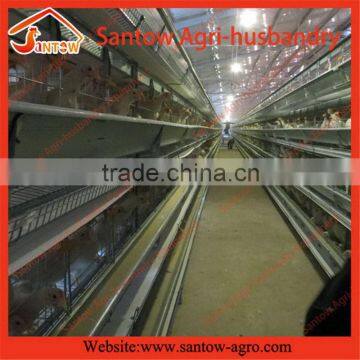 Stable steel structure professional chicken egg layer cage broiler layout farm                        
                                                                                Supplier's Choice