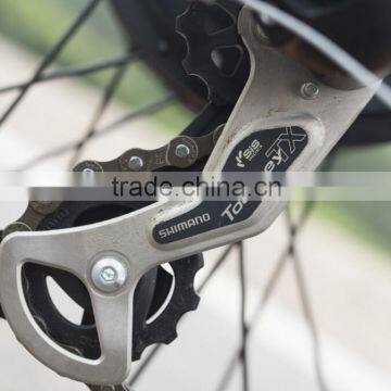 Rear Wheel Motor Mountain Electric Bike Chinese Fat Tire Bike photo-4