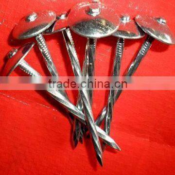 2-1/2"galvanized roofing nails