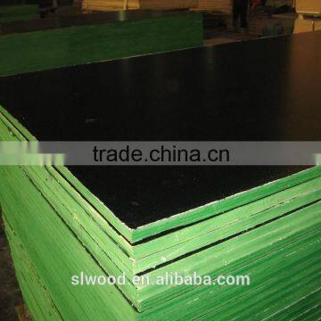 film faced plywood combi core with painting