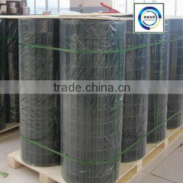 Suppling Anping Welded Wire Mesh PVC Coated Welded Wire Mesh in Roll Good Price