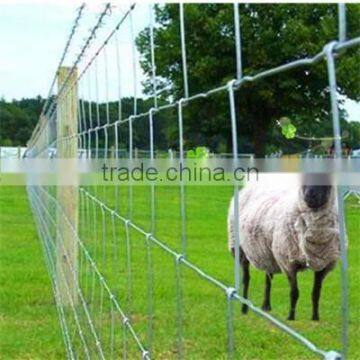 Galvanized sheep fence