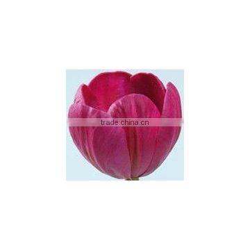 PU Artificial Flower-Tulip