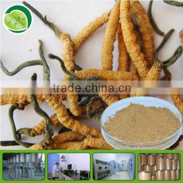 polysaccharide/cordyceps mycelium extract