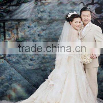 Customized Hand Painted Scenic Background For Wedding photo-5