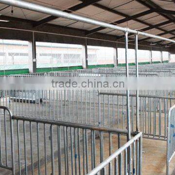 automatic piggery farming equipment