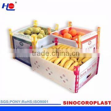 Plastic Vegetable Packaging Box