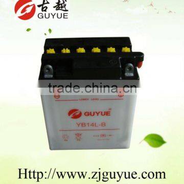 Everstart 12v lead acid battery/the storage battery