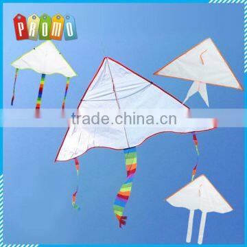 Wholesale promotional children kite , DIY kite