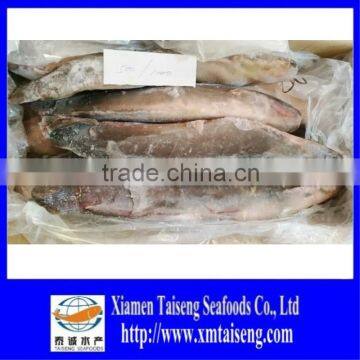 New Season Frozen Catfish Exporters