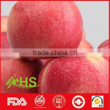 Export China fresh red fuji apples with great quality