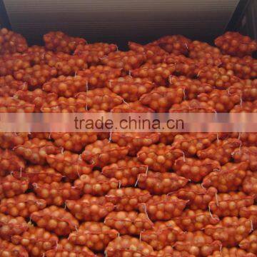 Professional Indian Onion Buyer Made in China