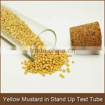 Gift Packing Yellow Mustard in Stand Up Test Tube