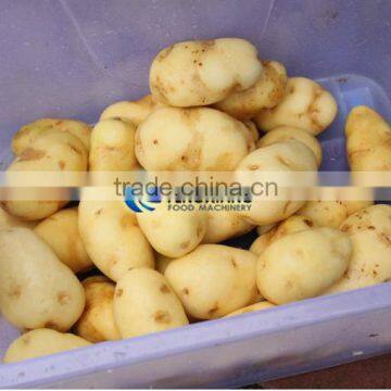 GL-380 Commercial Turnip Potato Carrot Washing Machine photo-5