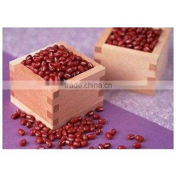 JSX lowest price red adzuki bean Hand Picked red mung beans