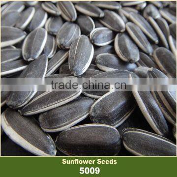 The Biggest Factory Bulk Chinese Confectionery Sunflower Seeds