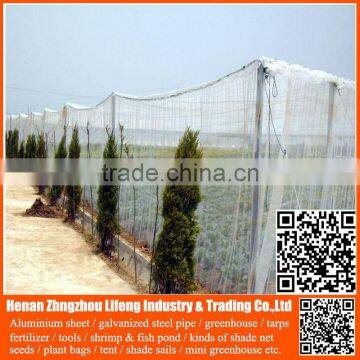 Chinese factory 20/30/40/50 mesh hdpe plastic agriculture greenhouse vegetable and fruit anti-insect net , nylon insect net
