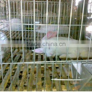 Hot sale rabbit cage !!!!Wire Rabbit Cages Sale