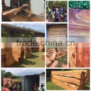 MJ1000/MJ1600 Horizontal Band Saw Mill Portable photo-2