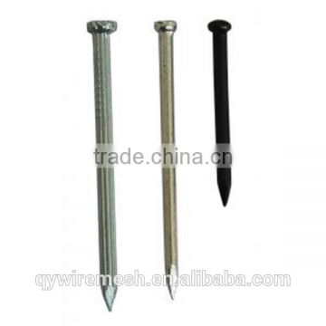 Building common wire nail, Construction Common nail iron nail factory