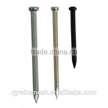 Building Common Wire Nail, Construction Common Nail Iron Nail Factory
