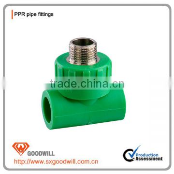 China supplier plastic PPR pipe fittings male/female