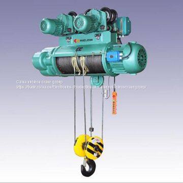 professional manufacturer wire rope electric hoist