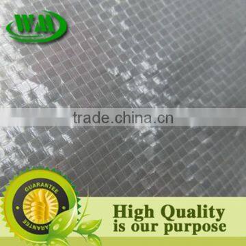 Anti-UV pe Transparent Tarpaulin Fabric photo-4
