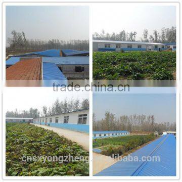 Yongzheng Dried Mealworms ;Good Quality Dried Mealworms ;Dried Mealworms for Fish Food photo-6