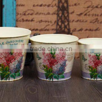 Made in China Wholesale Galvanized Mini Metal Pitcher Flower Vase photo-2