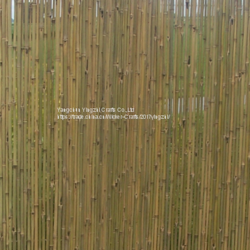 Bamboo fence with string