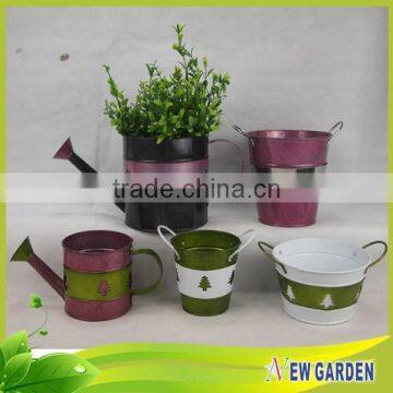 Newgarden 2015 New Products Customized Different Shapes decorative watering can