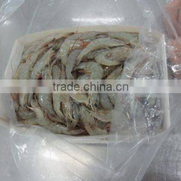 Frozen Vannamei HOSO photo-2