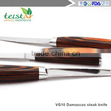 4.5-inch Japanese VG-10 67 Layers Damascus Premium Steak Knife (4 Sets) photo-5