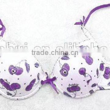 Cherry Bra/ Fashion Spandex Bra Sexy Bra Underwear Made in China photo-3