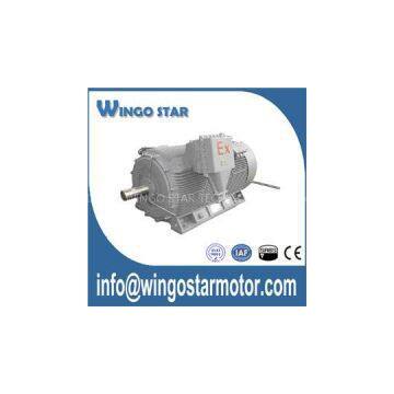 High Voltage Explosion Proof Motor