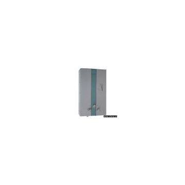 Sell Gas Water Heater(Forced Exhaust Type)