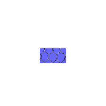 Hexagonal wire netting