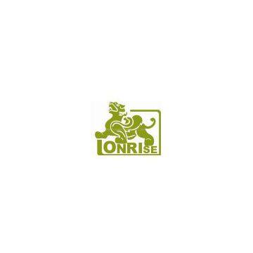Cangzhou Lonrise Steel Pipe Co.,Ltd