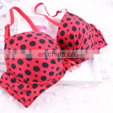 Japanese Girl Bra Hot Sexy Indian Girls in Bra Panty photo-5