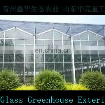 2019 Commercial Agricultural Glass Greenhouse With High Quality