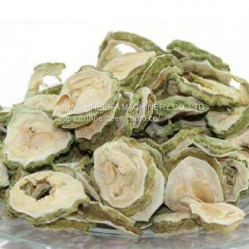 Balsam Pear Drying Machine photo-5