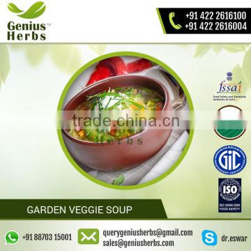 Fresh Garden Vegetable Soup for Healthy Body Available at Best Price