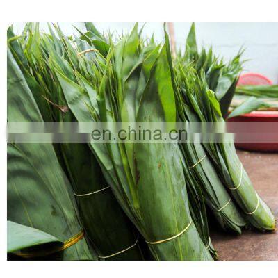 Wholesale Wild Natural Hand-picked High Quality Dried Bamboo Leaves From Vietnam photo-4
