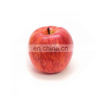 Natural Best Price Apple Extract Powder photo-2
