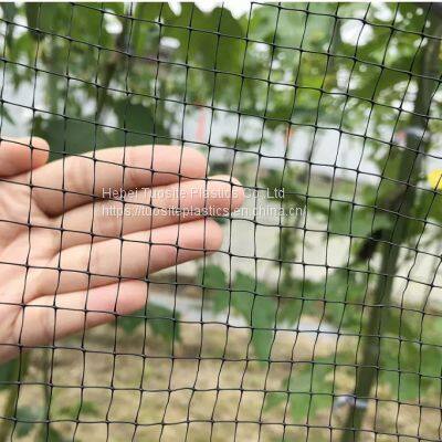 UV Resist White Black Green Color PP Plastic Mesh Anti Bird Net/Rabbit Deer Control Fencing Mesh