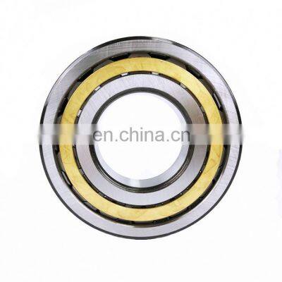 Cylindrical Roller Bearing NJ 222 Single Row Roller Bearing NJ 222 ECP