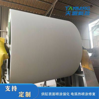 Dryer Surface Coating Customization photo-2