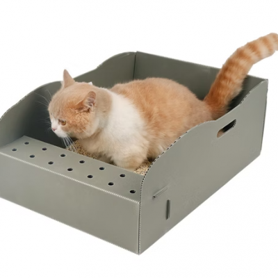 Custom PP Cat Litter Trays – Disposable, Sanitary, and Easy-to-Use